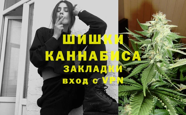 СК Коряжма