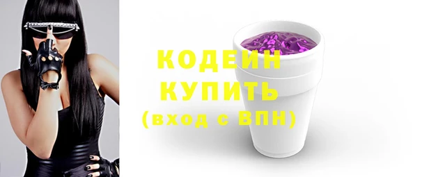 СК Коряжма