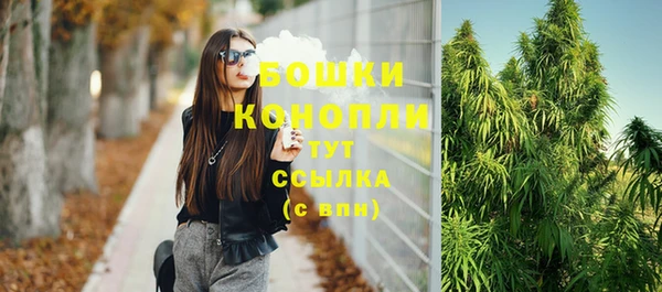 СК Коряжма