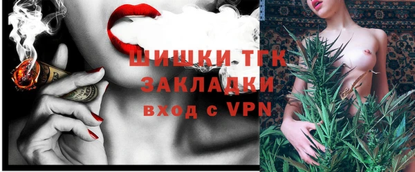 СК Коряжма