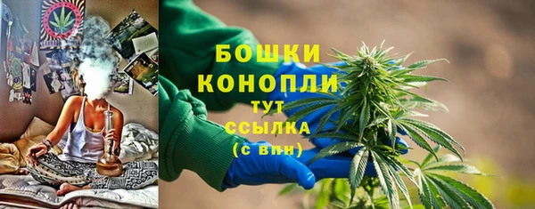 СК Коряжма