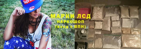 СК Коряжма