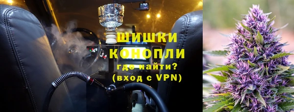 мяу мяу кристалл Корсаков