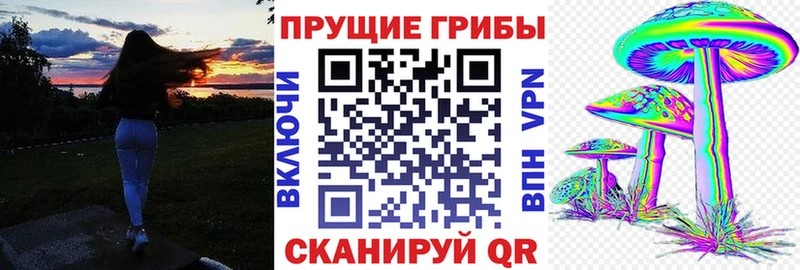 Галлюциногенные грибы Psilocybe  Купить  Бабаево 